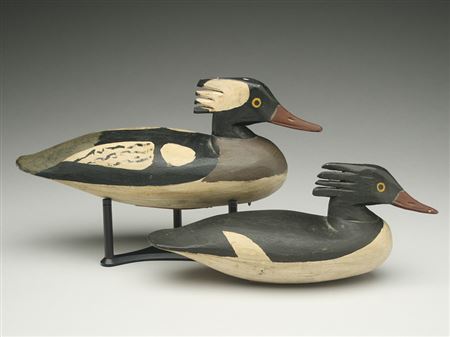 Exceptional pair of hooded mergansers