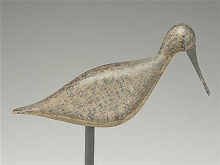 Rare lesser yellowlegs