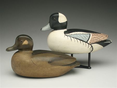 Bufflehead hen and drake (2) by Charles Allen - Auction record, sale price, and art valuation. Compare with similar artists and explore comparable artworks.