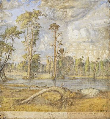 Primeval Forest