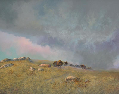 PLAINS BISON UNDER STORMY SKY