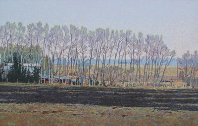 RURAL SKYLINE