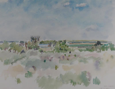PRAIRIE SCENE, LATE SPRING