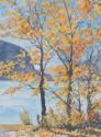 GOLD TREES, KANANASKIS