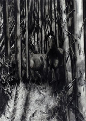 LIKE DEER IN THE FOREST; 2007