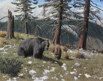 BLACK BEAR AND CUB by Elmer Schock - Auction record, sale price, and art valuation. Compare with similar artists and explore comparable artworks.