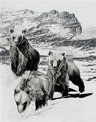 LILY'S CUBS ON WONDER PASS; 2009
