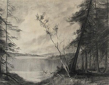 A VIEW OF THE LAKE THROUGH THE TREES