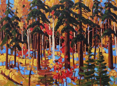 WARM AUTUMN SHADOWS, LAURENTIAN WOODS
