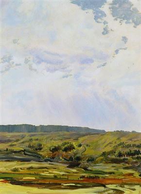 FOOTHILLS LANDSCAPE