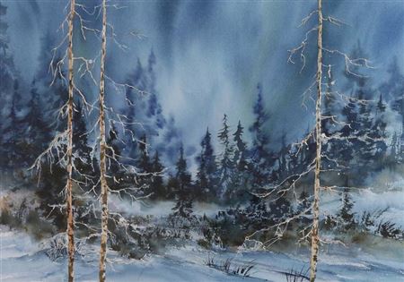 SOLITUDE UNDER THE AURORA