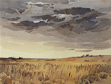 FIELDS UNDER A STORMY SKY