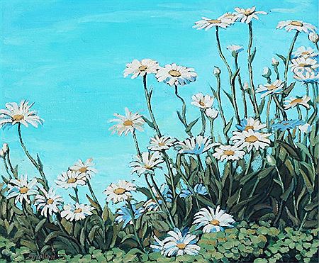 SHASTA DAISIES