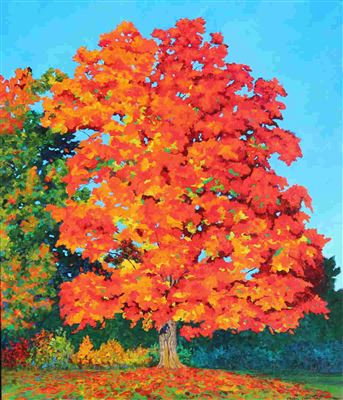 MAPLE