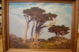 "Monterey Cypress"