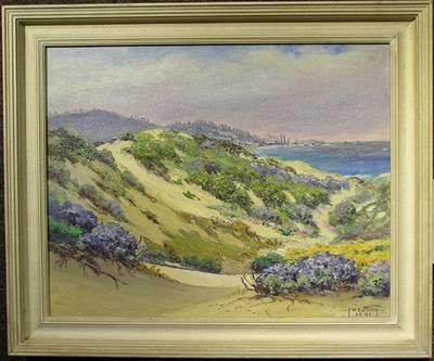 Flowering Sand Dunes