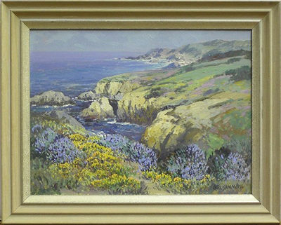 California Coast, Wildflowers, Big Sur