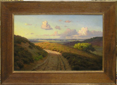 Danish Landscape