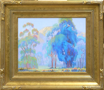 Eucalyptus Grove