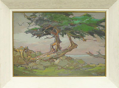 COASTAL CYPRESS