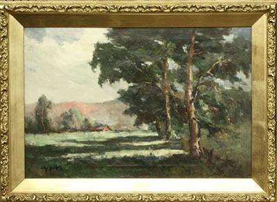 Shaded Country Landscape