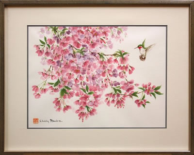 Hummingbird and Cherry Blossoms