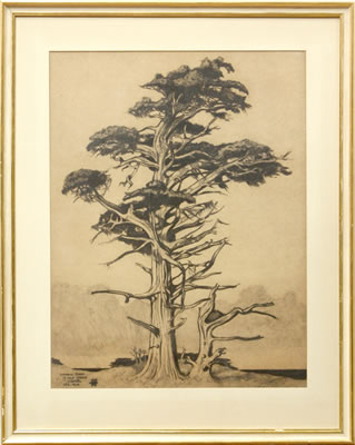 Roi Partridge - artist photo for art wanted listing (Santa Barbara, CA)