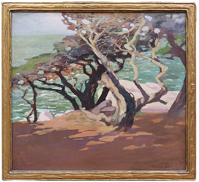 "'Turquoise Sea'"
