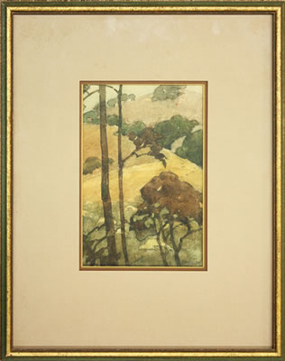 View of the California Foothills Through the Trees