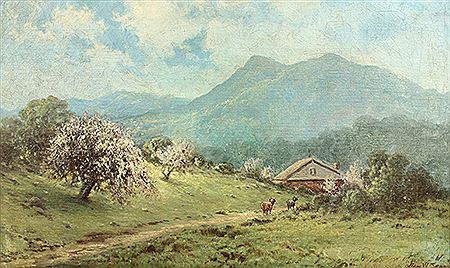 Springtime, Mount Tamalpais, Californai