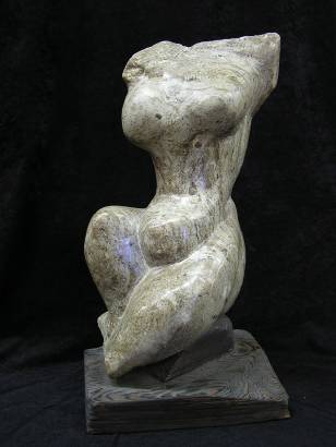 Female Torso