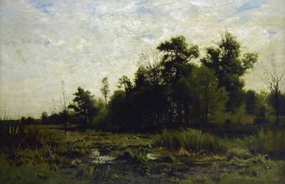 Marshlands