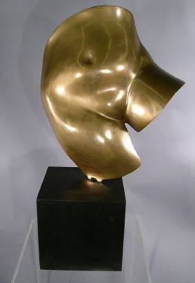 Torso