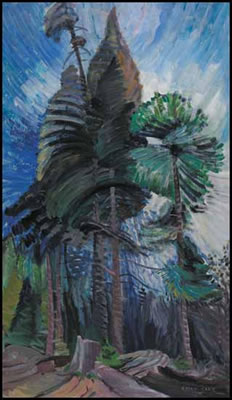 Wind in the Tree Tops