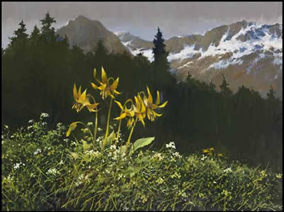 Glacier Lilys
