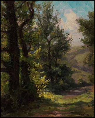 Forest Trail