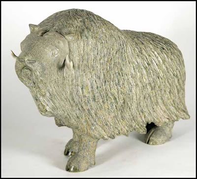 Musk Ox