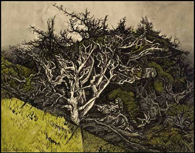 Trees in a Sand Dune 2 by Alistair Macready Bell - Auction record, sale price, and art valuation. Compare with similar artists and explore comparable artworks.