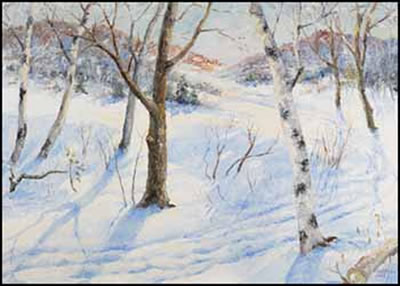 Winter Landscape