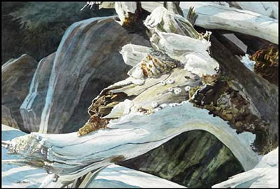 Driftwood