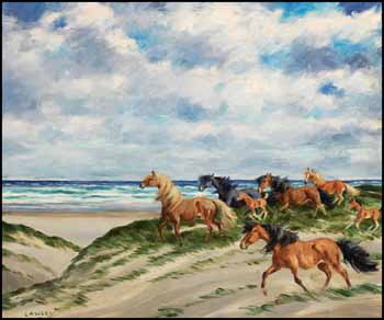 Wild Horses, Sable Island