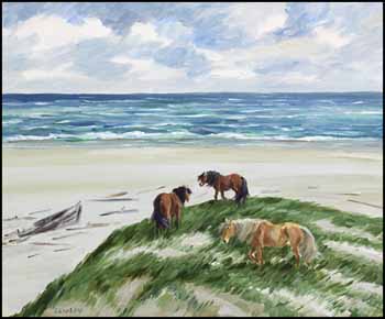 Wild Ponies, Sable Island