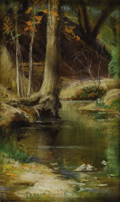 Creekbed
