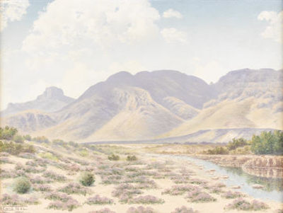 Untitled Davis Mountains