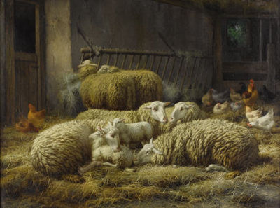 Sheep And Chickens in a Barn