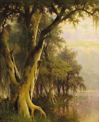 Florida Lowlands, 1886