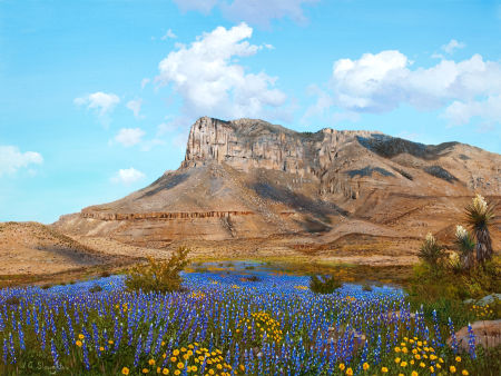 Guadalupe Mountains