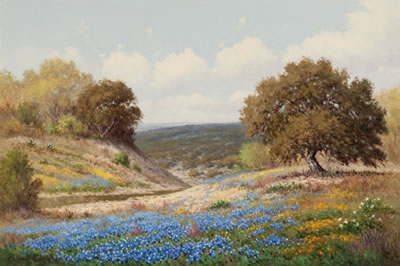 Bluebonnets in Spring