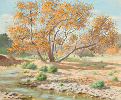 High Desert Landscape