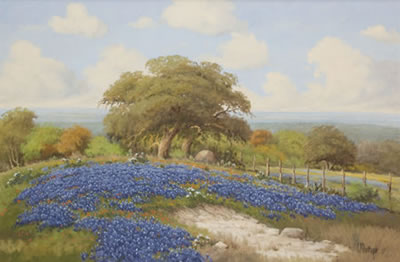 Bluebonnet Hillside